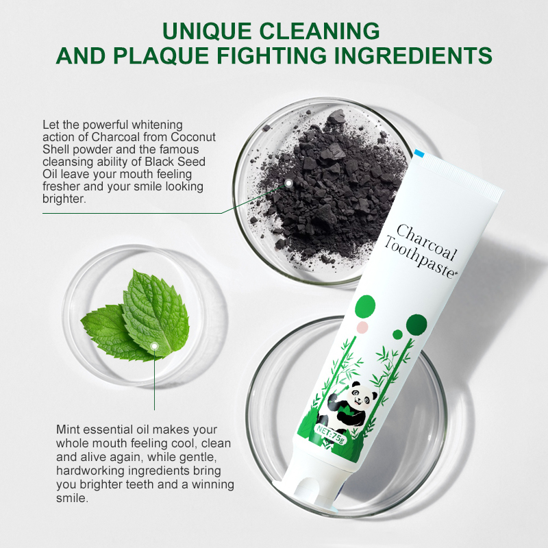 Daily Bamboo Charcoal Teeth Whitening Oral Care Kit